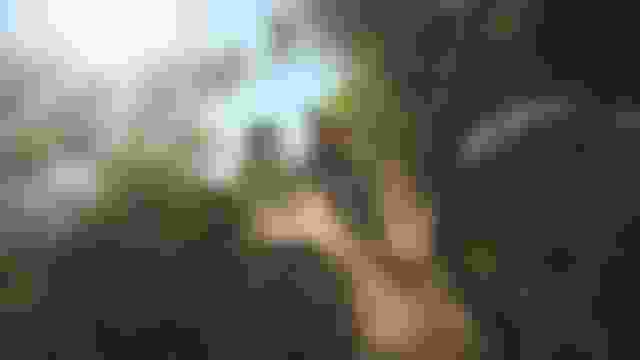 ????????? | ????? 3 | ????? ??? ???? | ??? ????