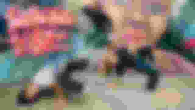 ?? ?? ?? ??? | Breaking Life