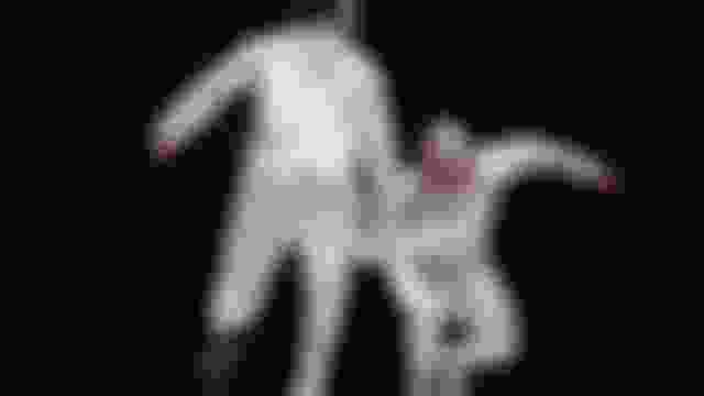 ?? | ?? ?? ?? & ?? ?? ??? | ??????? | ????