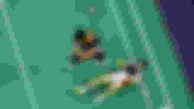 ?? ?? ??? ??? | ???? | 2024 ?? ???