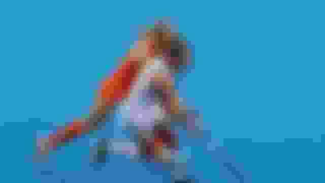Hockey-EM 2025 in Mönchengladbach: Wacker kämpfende deutsche Frauen verlieren Finale gegen Niederlande