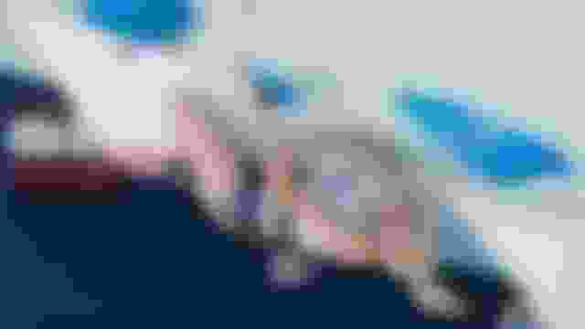 ?????? ?????? ?? ??? ????? | ??????? ?????????? | ?????? ????? ????? 2024
