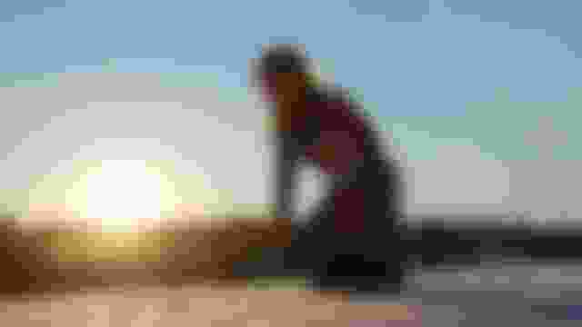 ??????? ??????????? ??????? ???? 2022: ?? ?? ????? ???????