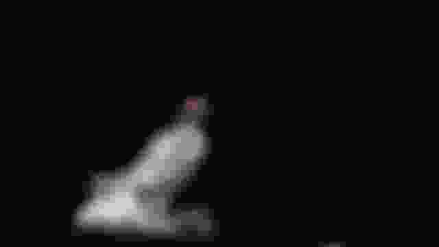 Cosa abbiamo imparato: Riepilogo della scherma alle Olimpiadi di Tokyo 2020