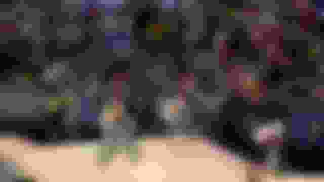 ???? ????????? ?? 3 | ????????? BMX ?????? | ?????? ????? ????? 2024