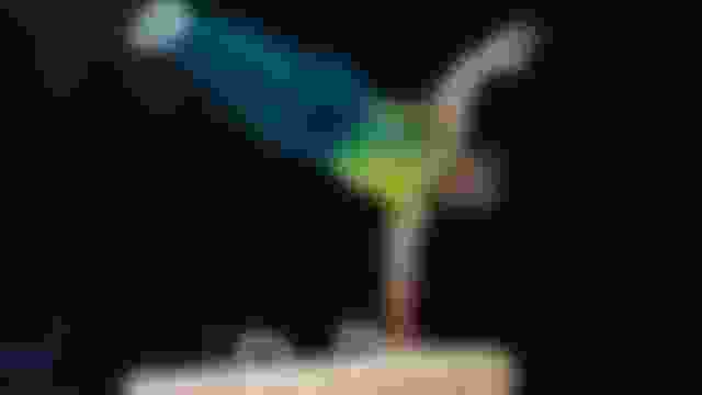 Australia secure three Paris 2024 Olympic gymnastics quotas from Oceania Continental Championships