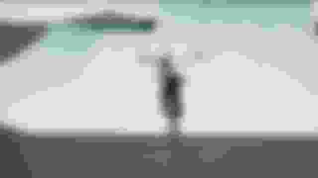 ???????? ????????? ???????