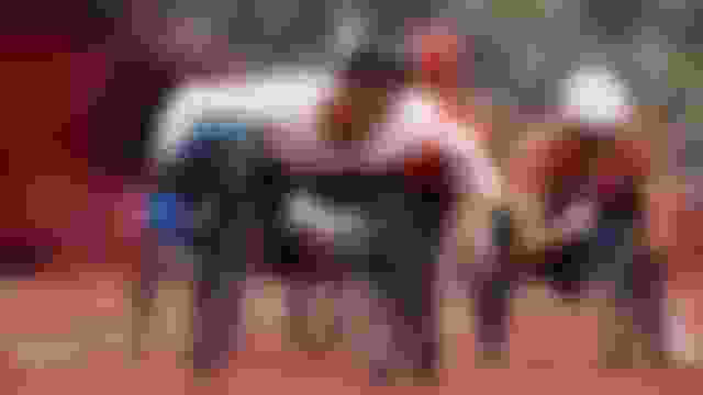 Jeux Paralympiques de Paris 2024 | 3-5 septembre : Présentation, calendrier et comment regarder en direct