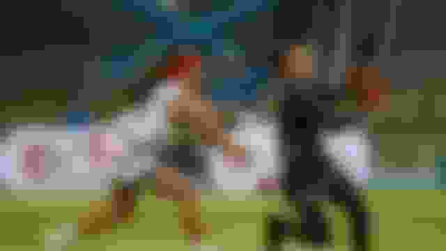Campeonato Continental de Flag Football de las Américas IFAF 2025: Previa, programa y cómo ver en vivo