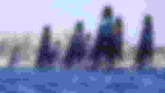 Skiff (M), regata 1 | Vela | Juegos Olímpicos París 2024