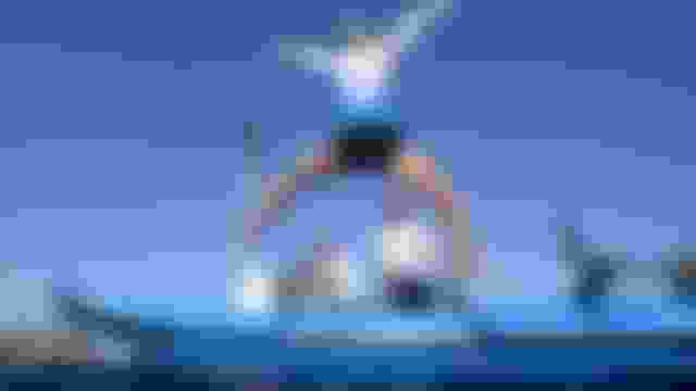 Final de kite (F) | Vela | Juegos Olímpicos París 2024