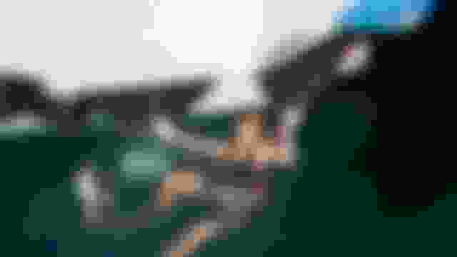 ???? ?????? ?? ??? ????? | ??????? ?????????? | ?????? ????? ????? 2024