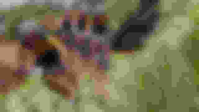 ????????? | ????? 6 | ????? ??? ???? | ??? ???? | ??? ?????!