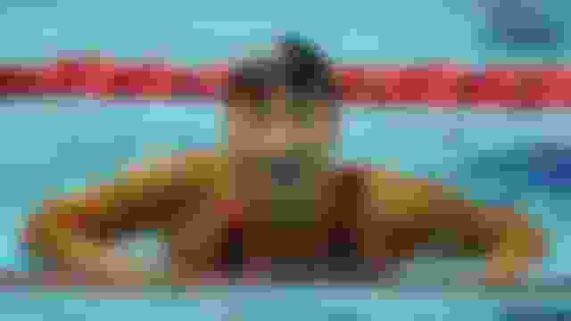 ???? ?????? ?? ????? ?????? ?? ???????: "???? ?? ???? ???? ?????? ??? ???"