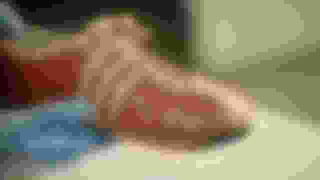 奥运宿敌的标志性物品：扎托佩克与米穆恩 | The Vault