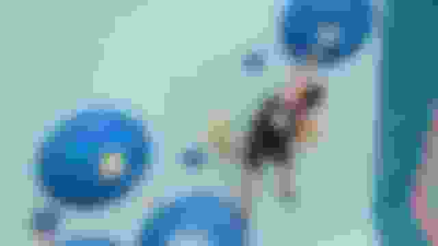 运动攀岩 | 男子半决赛 | 攀石世界杯 | 布拉格