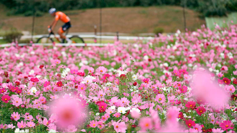 IOC announces shortlist for inaugural Climate Action Awards