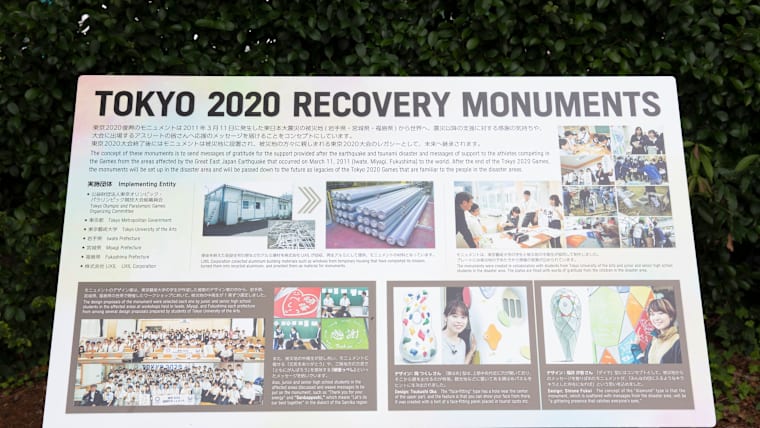 11.1. Supporting recovery from disaster