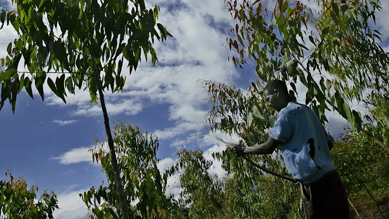Des pionniers dans le secteur de l'environnement