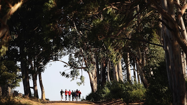 Emmanuel Mutai marathon runner of Kenya and his training group passes through a wood of eucalyptus trees during a 40km training run in 2012 in Kaptagat, Kenya 