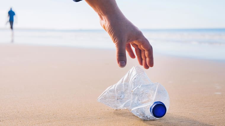 How to be a sustainable champion: ideas and inspiration for protecting #onlyoneearth