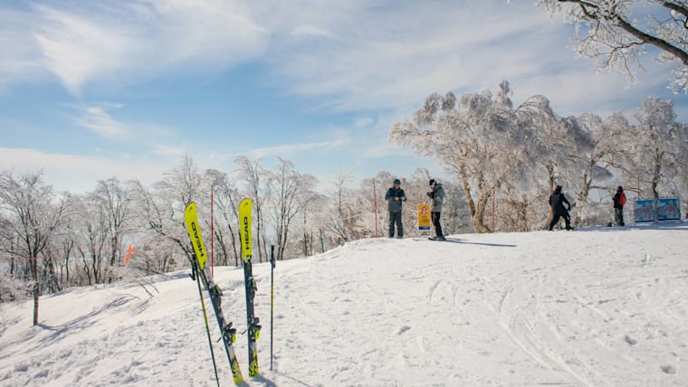 Réputation mondiale des stations de ski de Nagano  