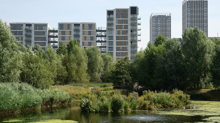 Biodiversity in action