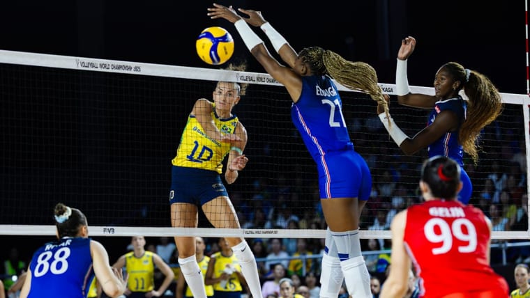 France Brésil volleyball