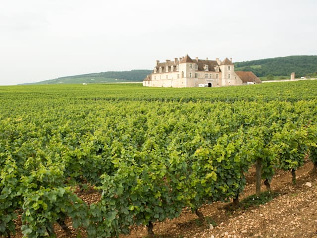 Clos Vougeot, at the heart of French nectars