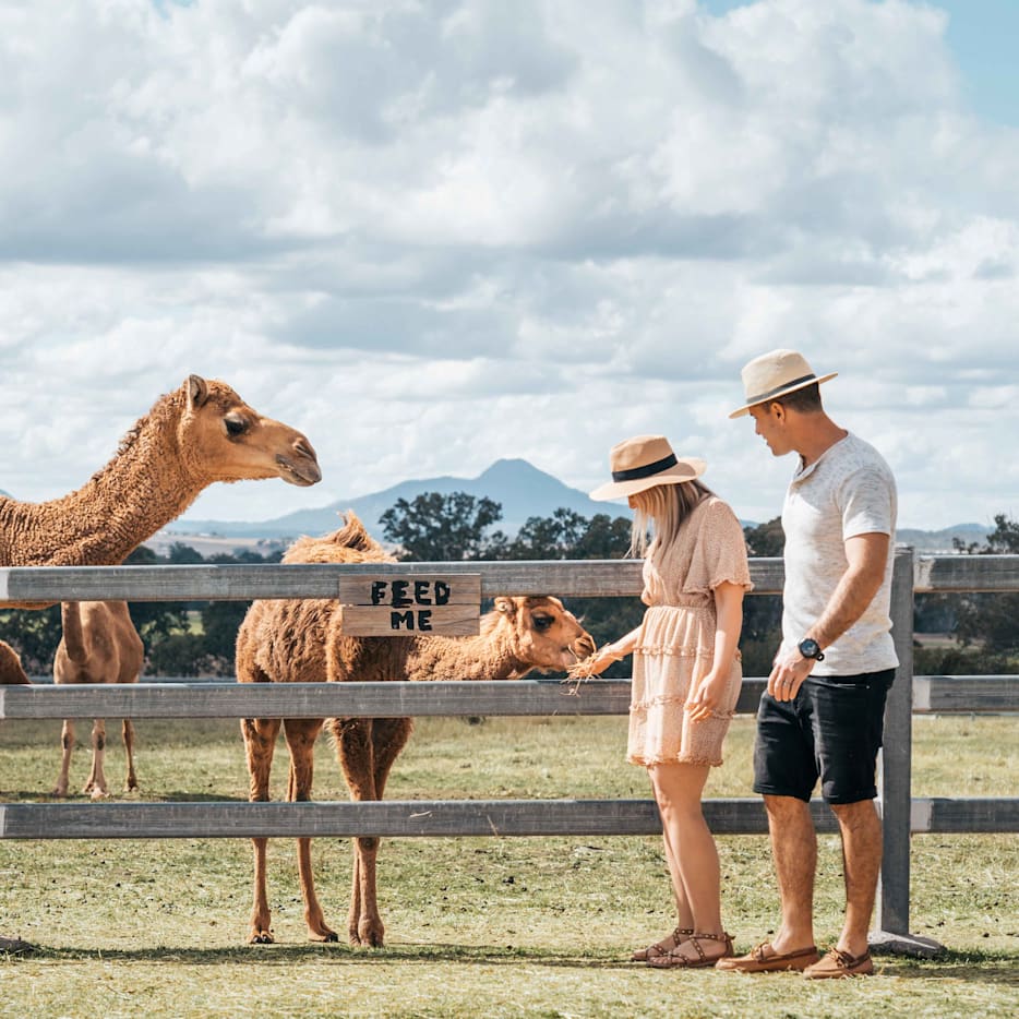 Unforgettable wildlife encounters.