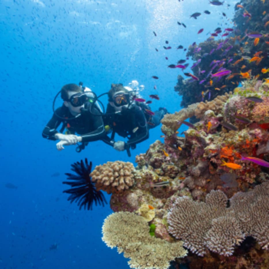 Go deep on Great Barrier Reef adventures.