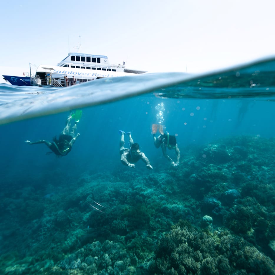 Invigorating reef adventures and vast landscapes to explore.