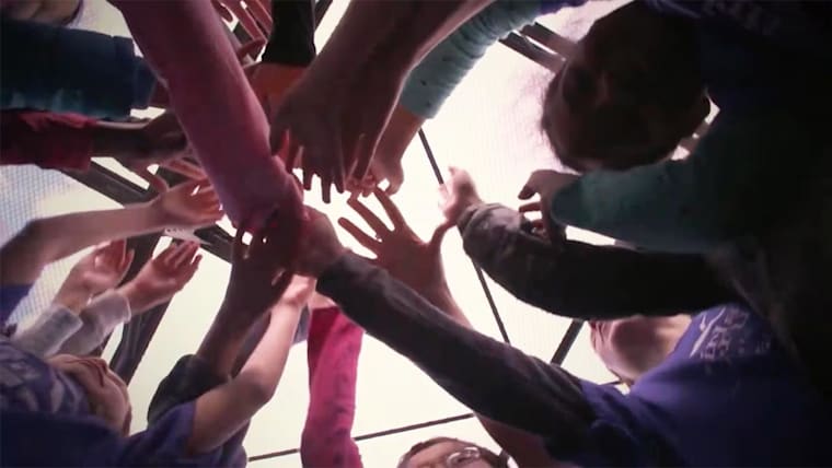 Gender Equality, Diversity and Inclusion Champions