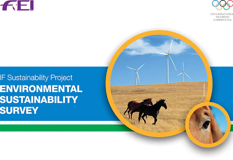 FEI Environmental Sustainability Survey