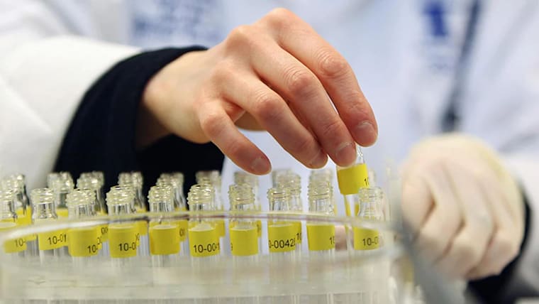 Fight against doping - Who does what?