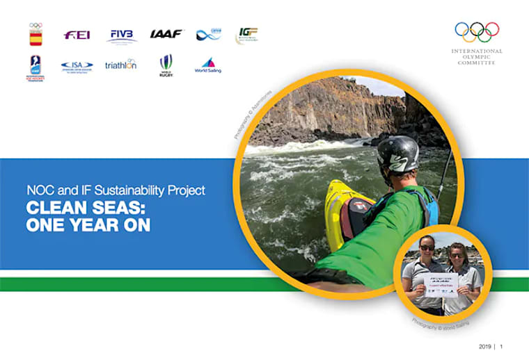 Clean seas: one year on