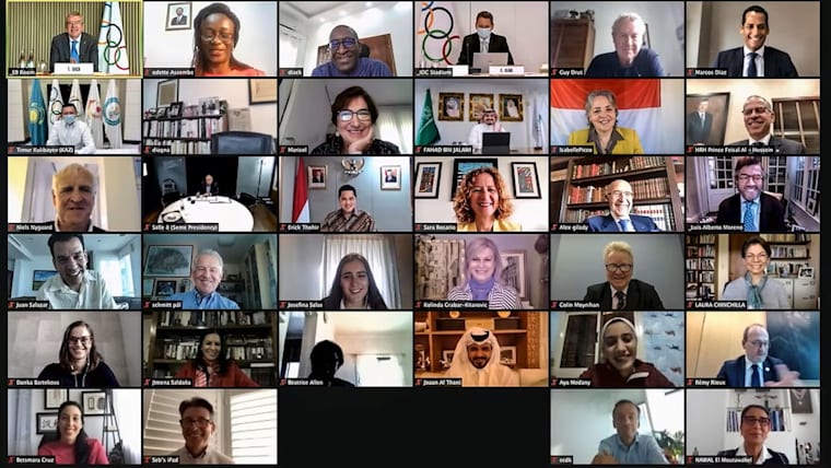 Public Affairs and Social Development through sport Commission