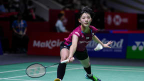 中国バドミントン Perfect manual 沙海平の中国バドミントン パーフェクトマニュアルDVD