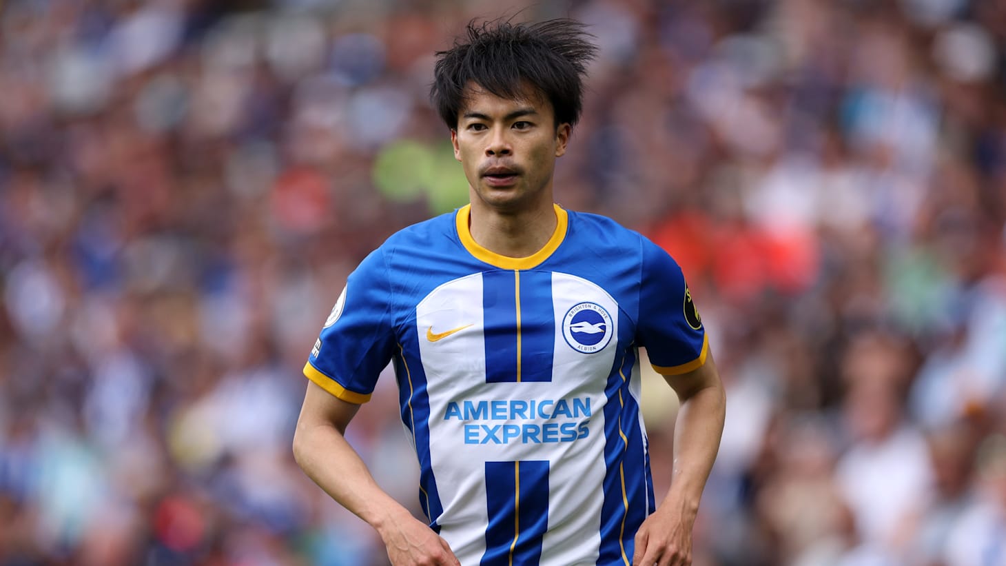 本日大特価　2022ワールドカップ アジア地区最終予選　三笘薫選手支給品ユニ サッカー日本代表 🇯🇵 on X: 