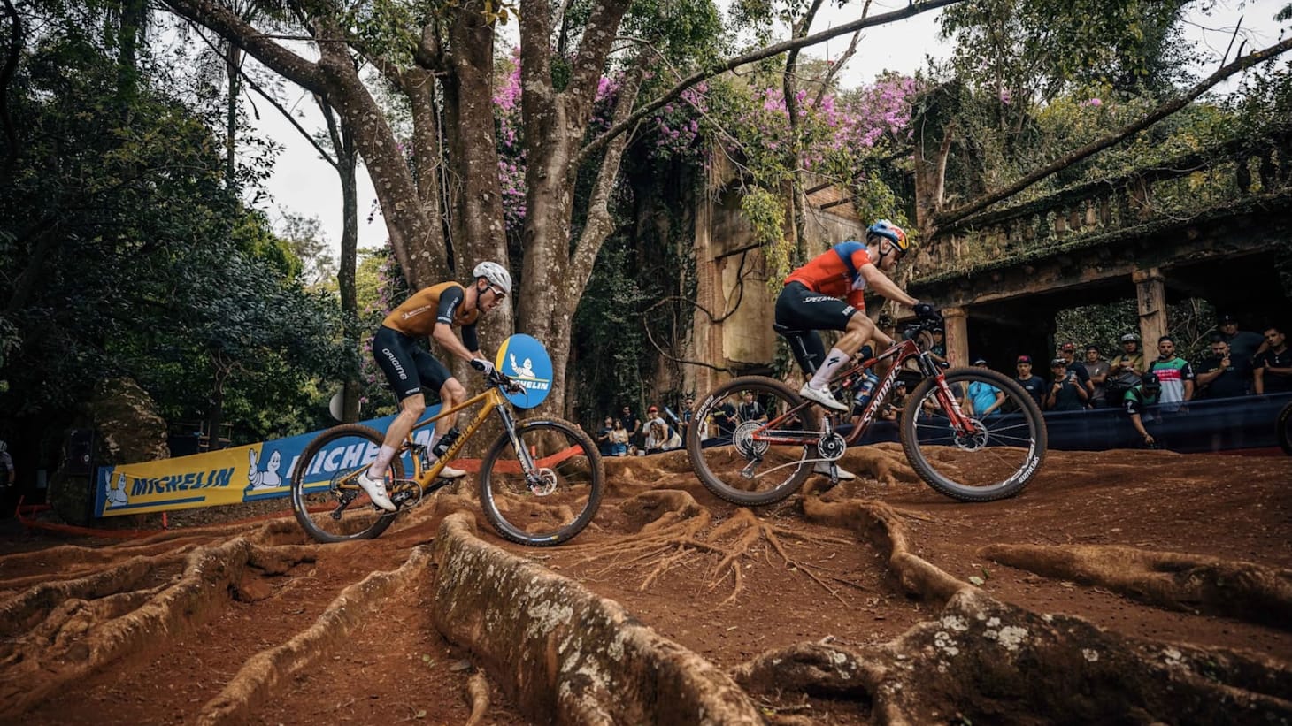 Mountain bike cycling 2026