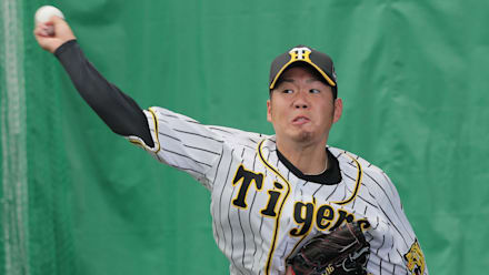 阪神タイガース・読売ジャイアンツ・ヤクルトスワローズ・ボール・練習球・プロ野球 阪神タイガース・読売ジャイアンツ・ヤクルトスワローズ・ボール