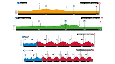 Uci men's elite road race 2025