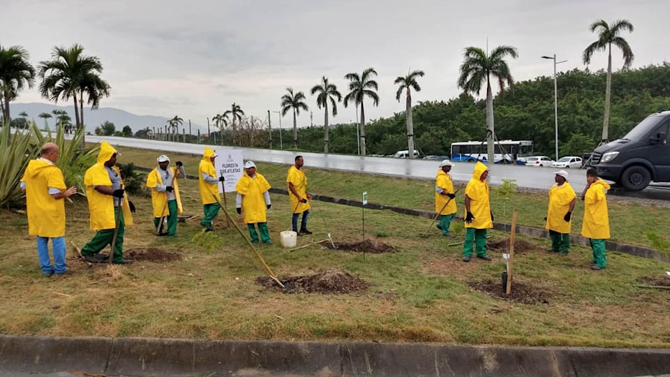 La forêt des athlètes de Rio 2016 commence à prendre racine