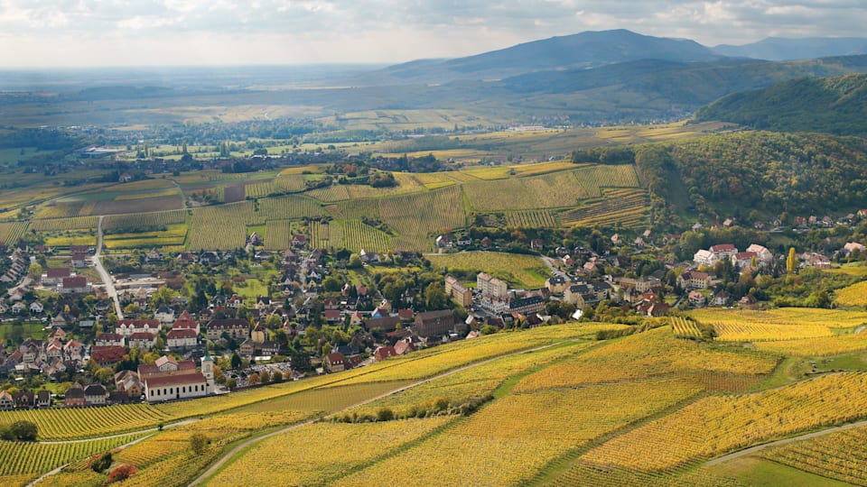 Ville alsacienne dans la plaine d’Alsace au milieu des vignobles