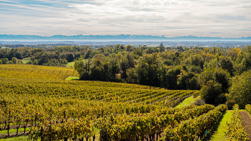 Happiness is in Gers