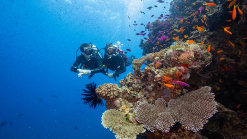 b32pgt-the-games-2nd-level-carousel-5