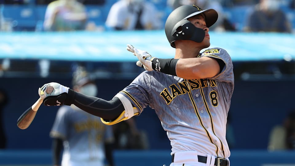 阪神タイガース 2024年5月24日巨人戦 一塁アルプス6段目 応援
