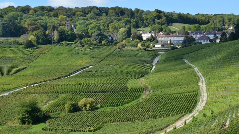  Historic hillsides in Hautvillers / Hautvillers and a vineyard