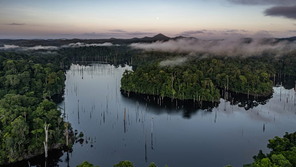 Le lac de Petit-Saut vu du ciel, ville de Sinnamary 