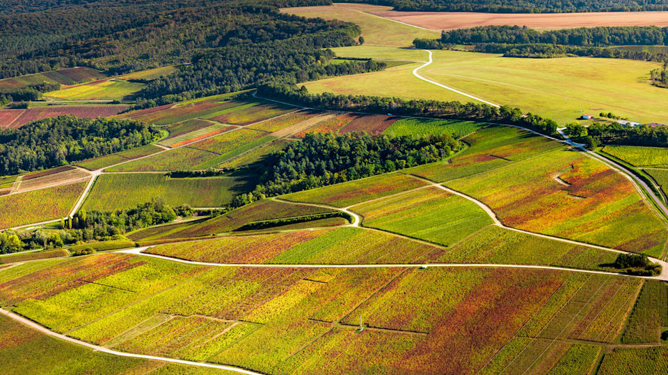 L’Aube, terre de Champagne